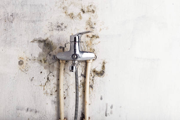 Water Damage Restoration in Hokes Bluff, AL