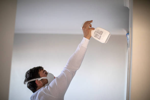 Best Mold Damage Repair  in Hokes Bluff, AL