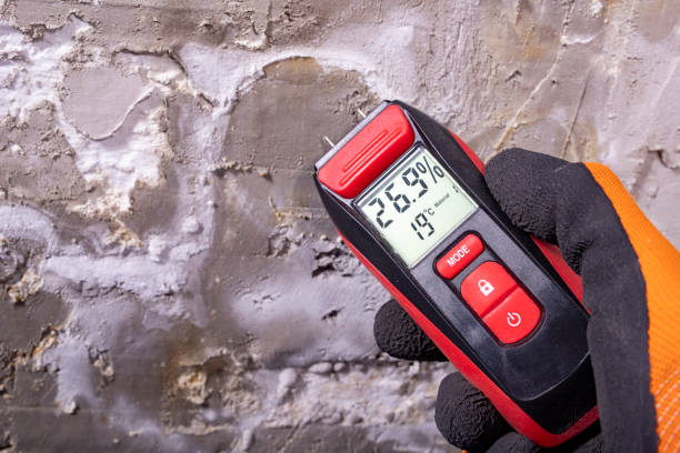 Best Mold Remediation  in Hokes Bluff, AL