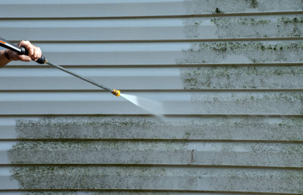 Best Residential Mold Removal  in Hokes Bluff, AL
